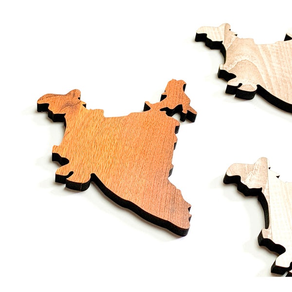 Townside Map of India Wooden Coasters