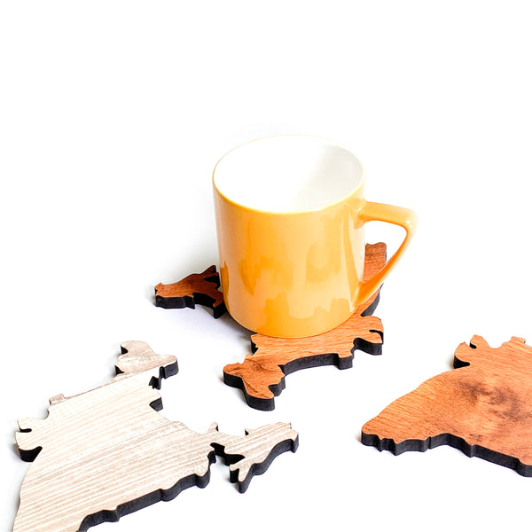 Townside Map of India Wooden Coasters with a cup